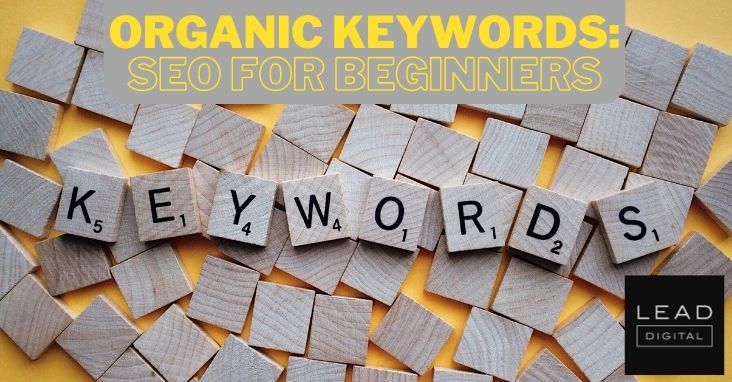 Organic Keywords: SEO for Beginners